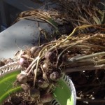 photo 1-15 - Version 2